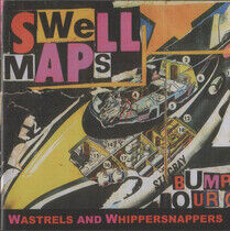 Swell Maps - Wastrels and..