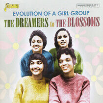 V/A - Dreamers To the Blossoms