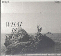 Delta Spirit - What is There