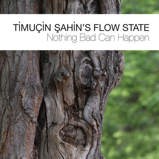 Timucin Sahin\'s Flow Stat - Nothing Bad Can Happen