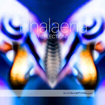 Phalaena - Reflections -Digislee-