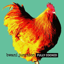 Bwani Junction - Fully Locked