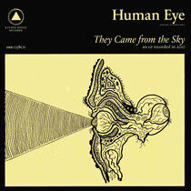 Human Eye - They Cam From the Sky