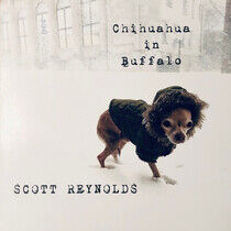 Reynolds, Scott - Chihuahua In Buffalo