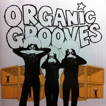 V/A - Organic Grooves 4 -12tr-