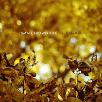 Small Brown Bike - Fell & Found