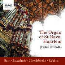 Nolan, Joseph - Organ of St Bavo, Haarlem