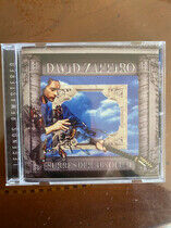 Zaffiro, David - Surrender Absolute
