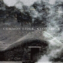Common Eider, King Eider - Egregore