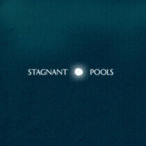 Stagnant Pools - Temporary Room