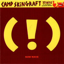 V/A - Camp Skin Graft ! Now..