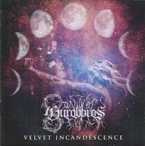 Dawn of Ouroboros - Velvet Incandescence