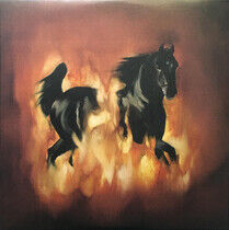 Besnard Lakes - Are the Dark Horse