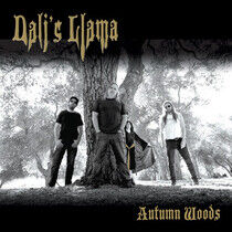 Dali's Llama - Autumn Woods