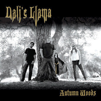 Dali\'s Llama - Autumn Woods