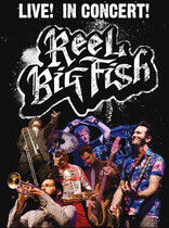 Reel Big Fish - Live! In Concert