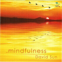 Sun, David - Mindfulness