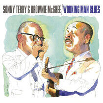 Terry, Sonny & Brownie Mc - Working Man Blues
