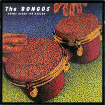 Bongos - Drums Along the Hudson