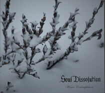 Soul Dissolution - Winter Contemplations