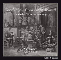 Viva Voce - Good Night, Good Night, B