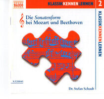 Schaub, Stefan - Die Sonatenform