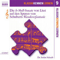 Schaub, Stefan - Die H-Moll Sonate Vol.9