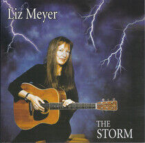 Meyer, Liz - Storm is Coming