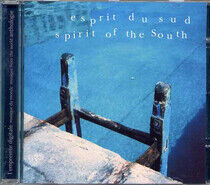 V/A - Spirit of the South