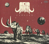 Acid Mammoth - Caravan