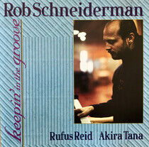 Schneiderman, Rob - Keepin' In the Groove