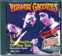 Flamin' Groovies - Live At the Festival of..