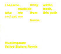 Muslimgauze - Veiled Sisters -Remix-