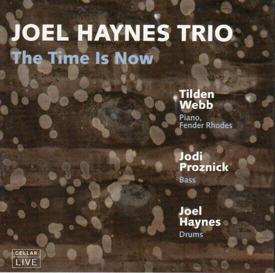 Haynes, Joel -Trio- - Time is Now