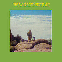 Sun Araw - Saddle of the Increate