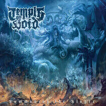 Temple of Void - Summoning The Slayer (Vinyl)