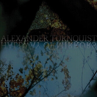 Turnquist, Alexander - Hallway of Mirrors