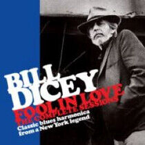 Dicey, Bill - Fool In Love - the..