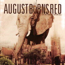 August Burns Red - Looks Fragile.. -Lp+Dvd-