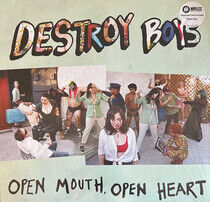 Destroy Boys - Open Mouth, Open Heart