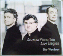 Smetana/Liszt - Piano Trio/Elegies