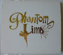 Phantom Limb - Don't Say a Word