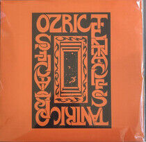 Ozric Tentacles - Tantric.. -Reissue-