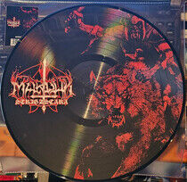 Marduk - Strigzscara.. -Ltd-