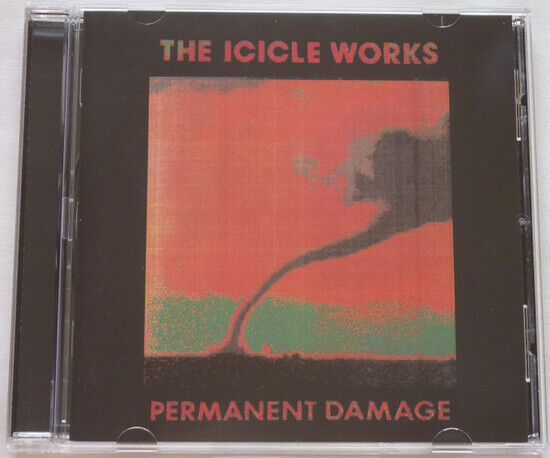 Icicle Works - Permanent Damage