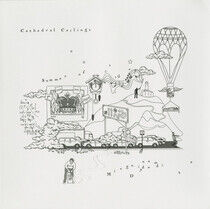 Cathedral Ceilings - Summer of Misguided..