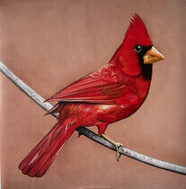 Alexisonfire - Old Crows/Young Cardinals