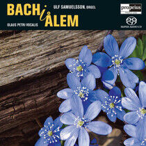 Bach, Johann Sebastian - Bach I Alem