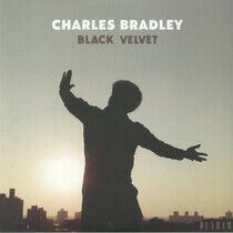 Bradley, Charles - Black Velvet -Download-