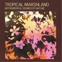 Sound Effects - Tropical Marshland